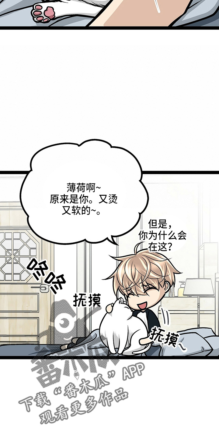 第23章：好帅4