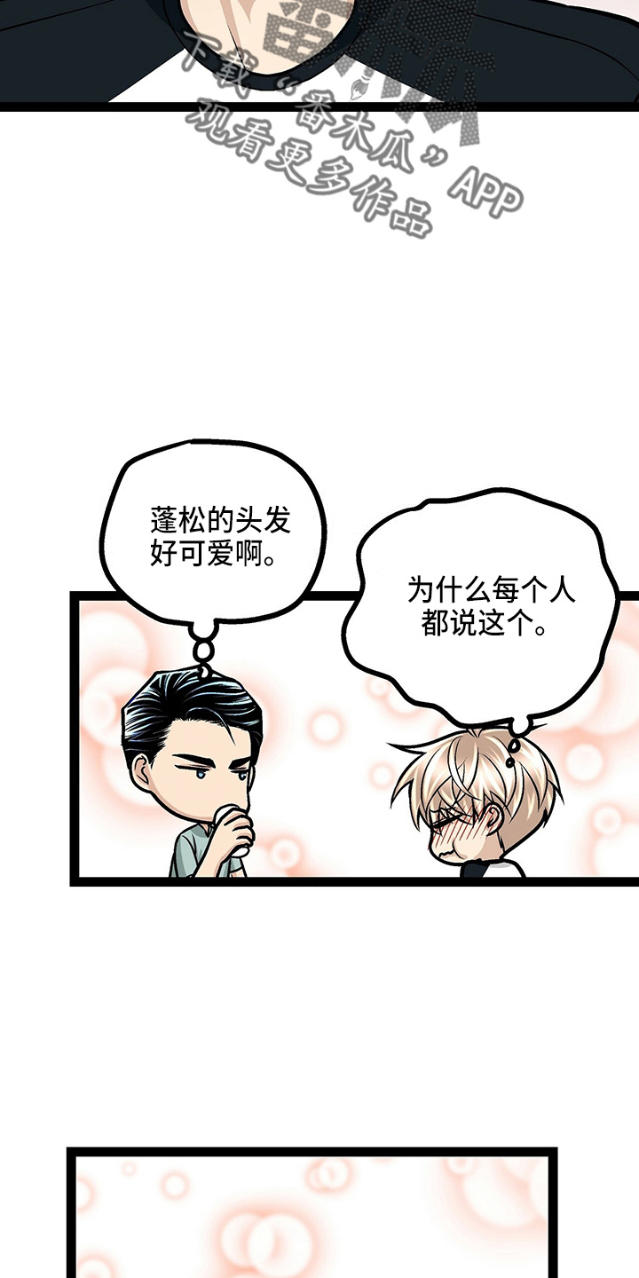 第23章：好帅17