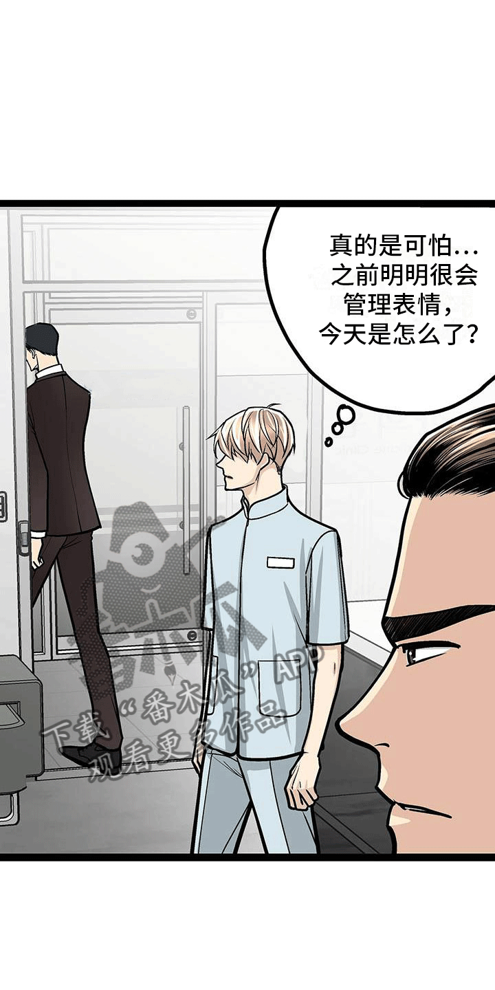 第19章：害怕虫子17