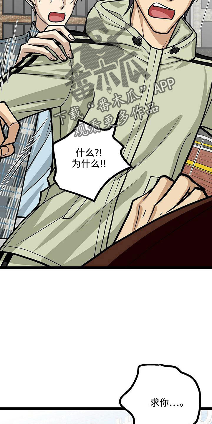 第52章：好温暖6