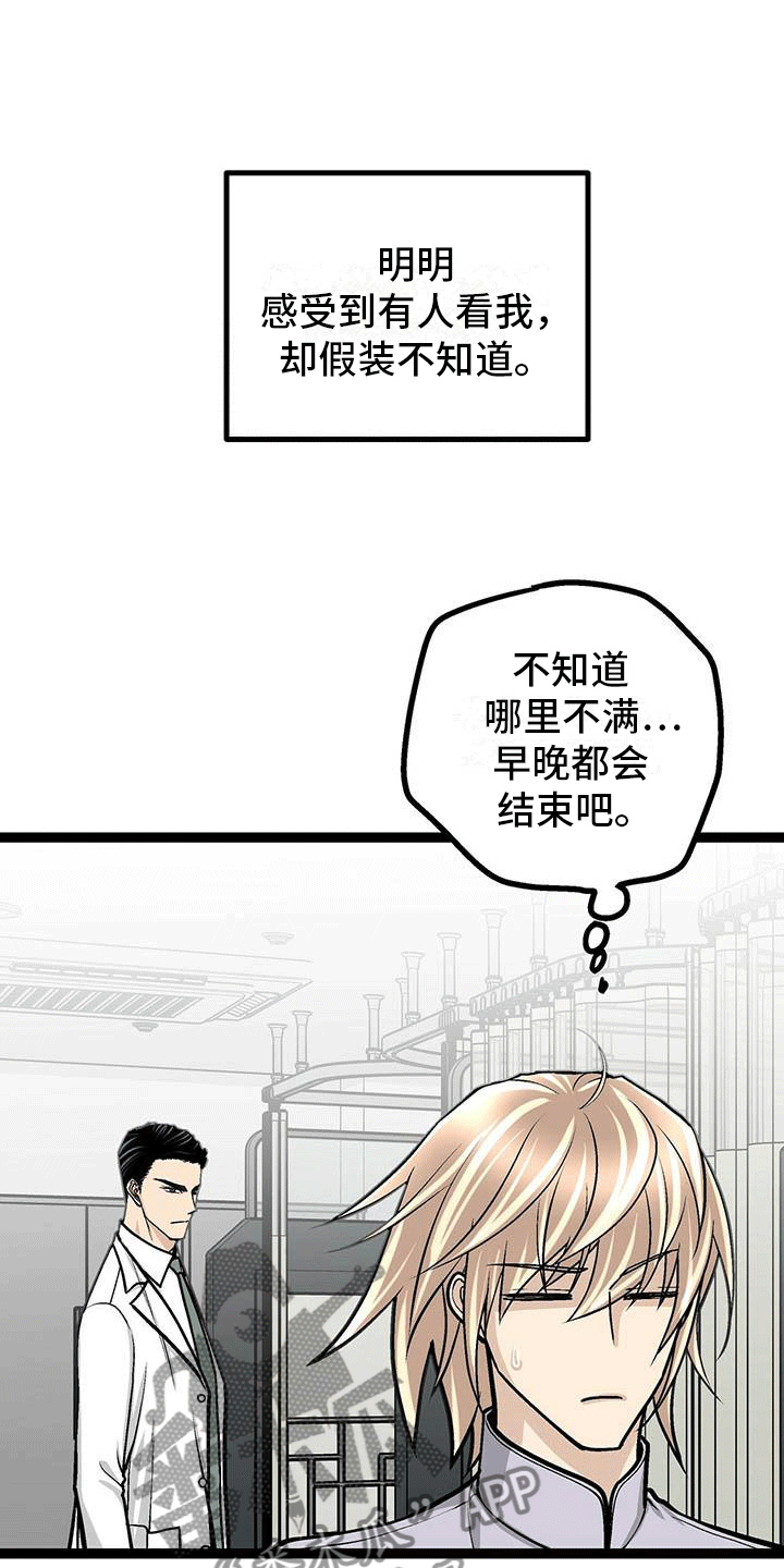 第13章：有些奇怪14