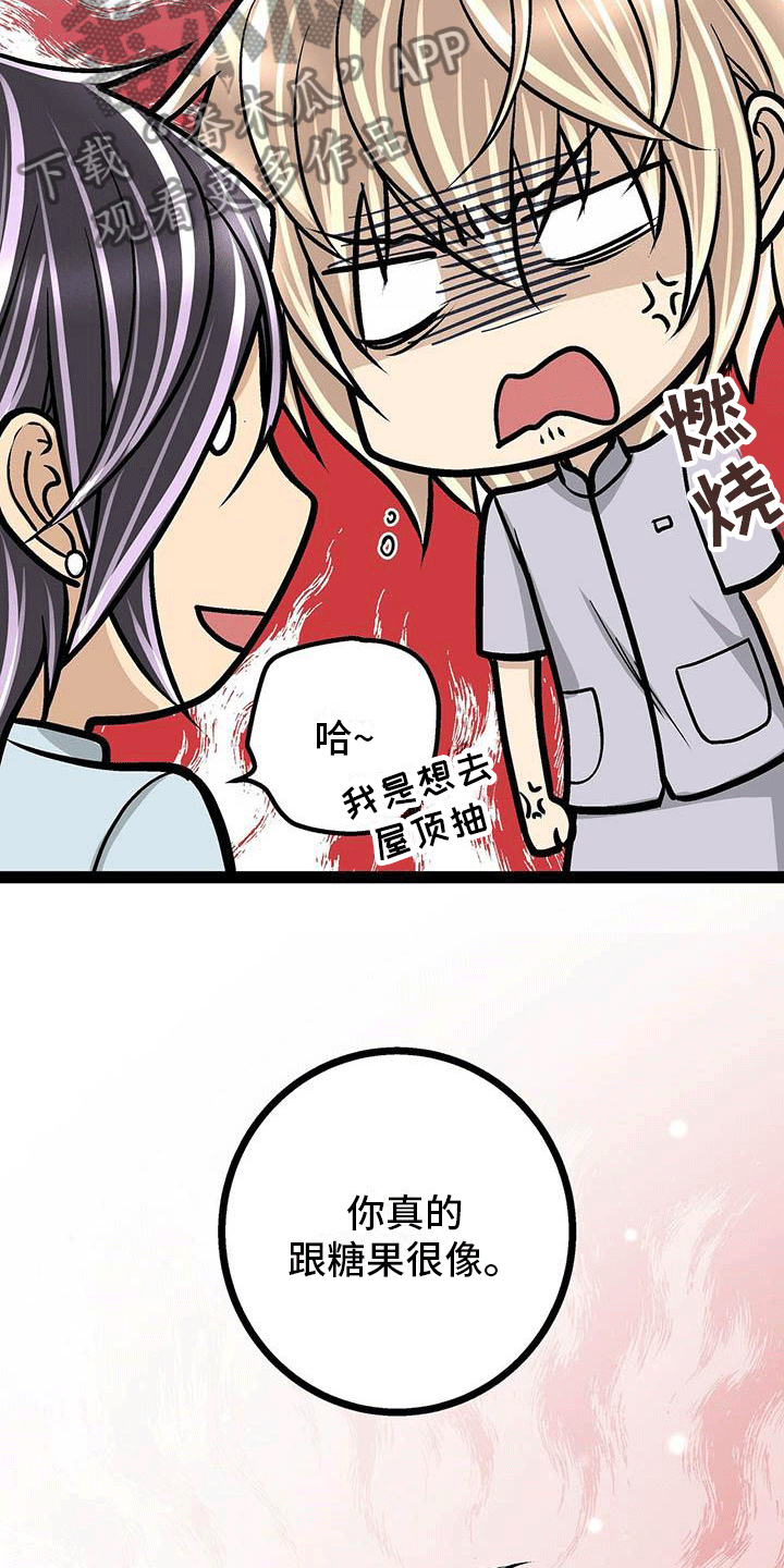 第10章：像糖果一样13