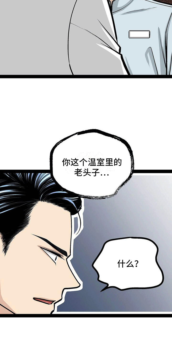 第17章：擅自决定17