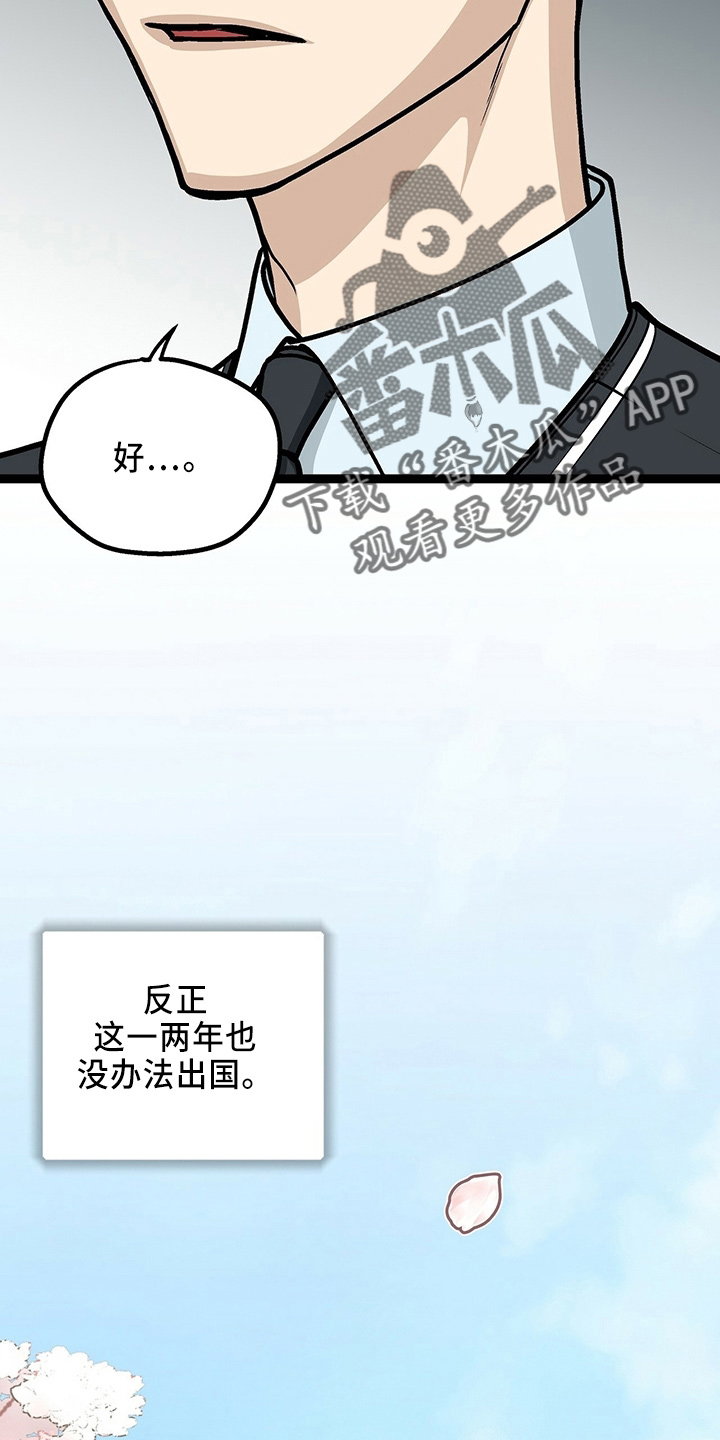 第29章：一个亿11