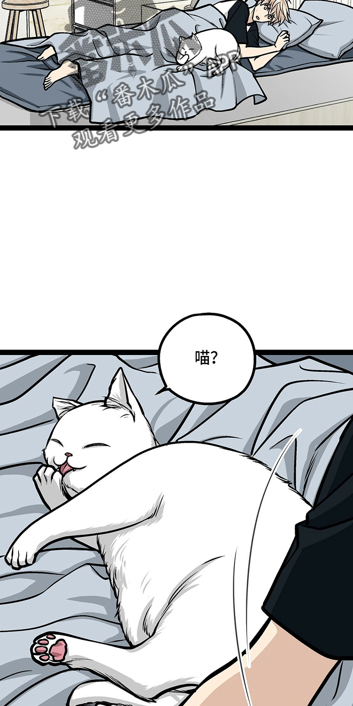 第23章：好帅3