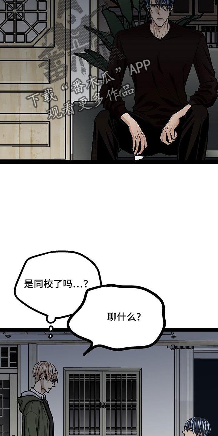 第73章：这是犯规12