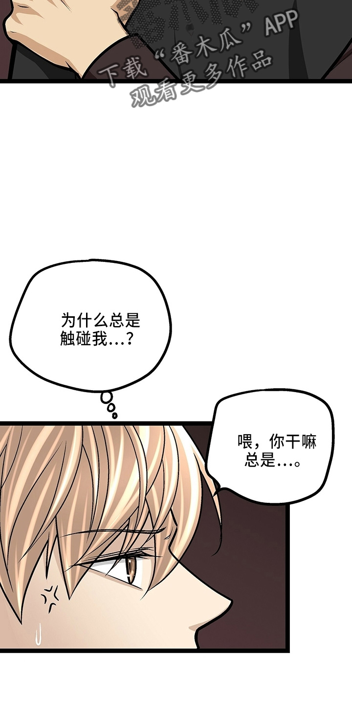 第31章：各付各的12