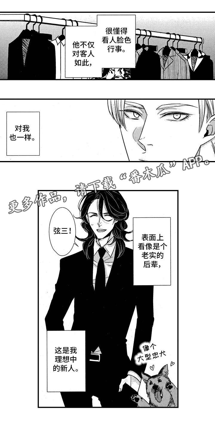 第8章：VIP2