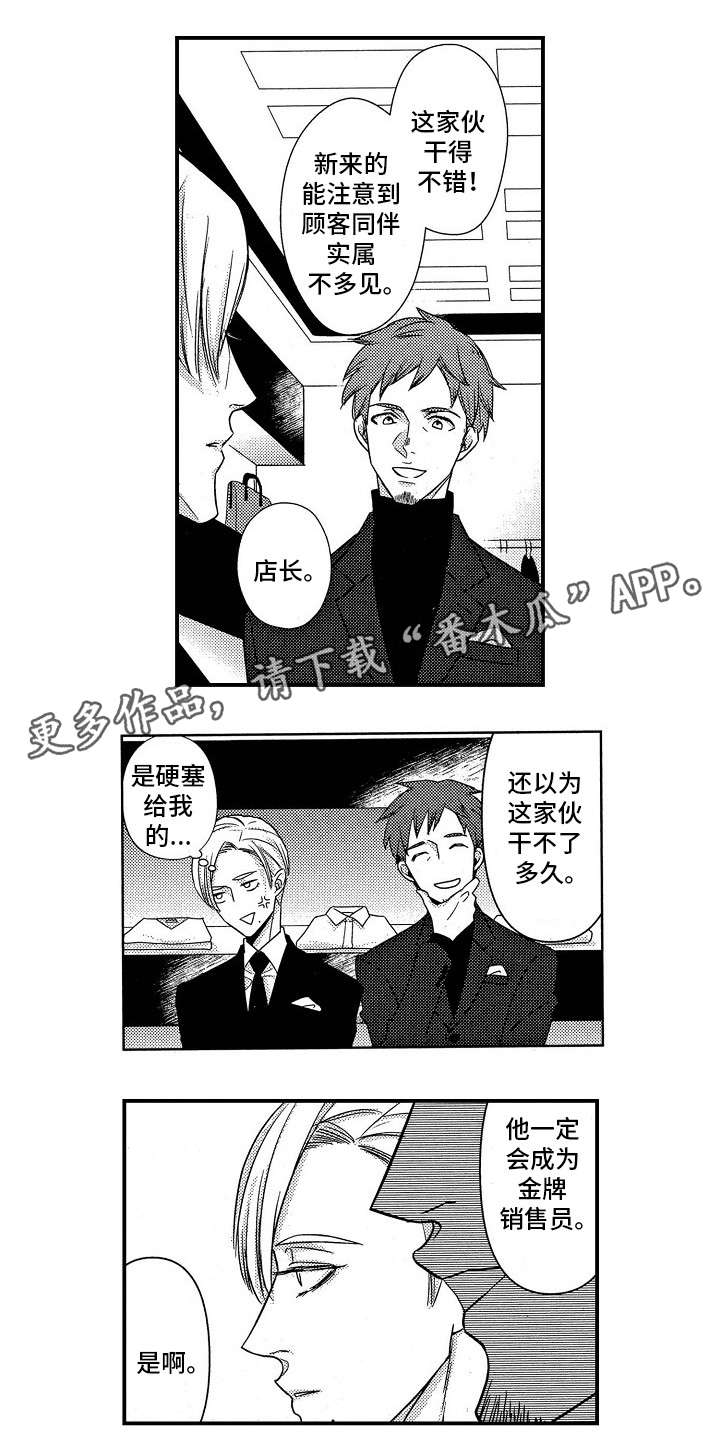 第8章：VIP0
