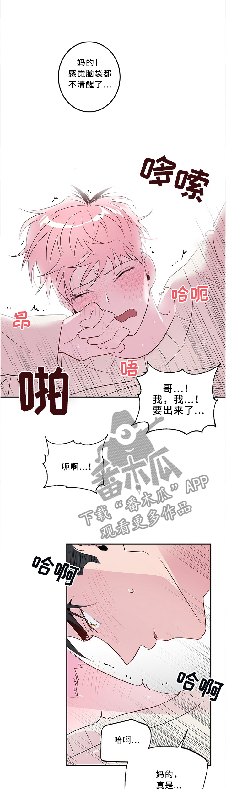 第38章：夸奖0