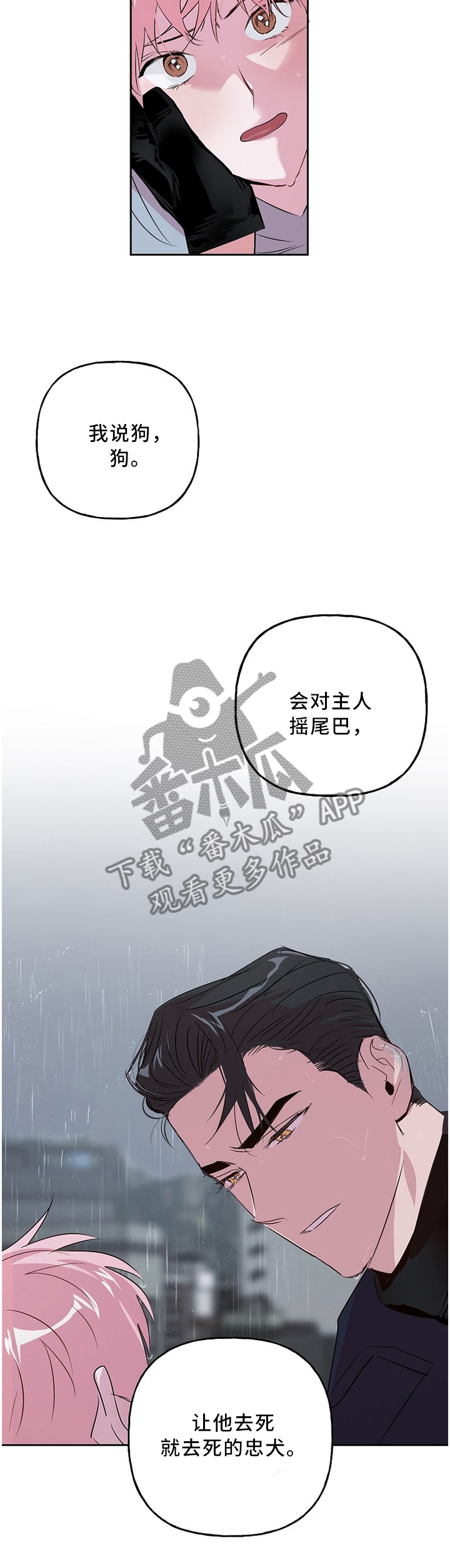 第46章：忠犬6