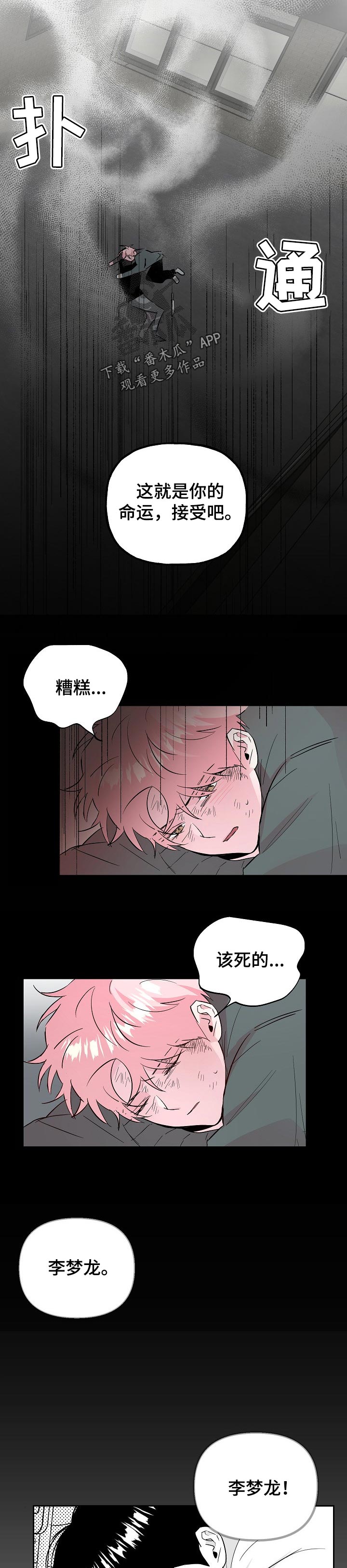 第99章：【第二季】适合花的女人1