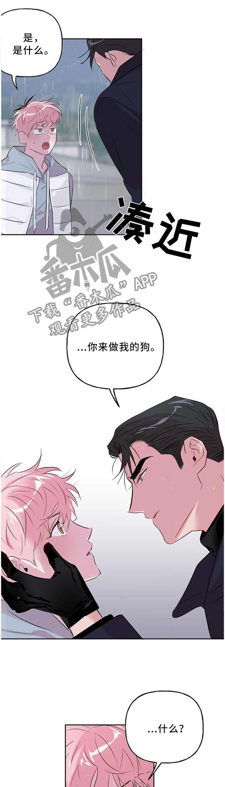 第46章：忠犬5