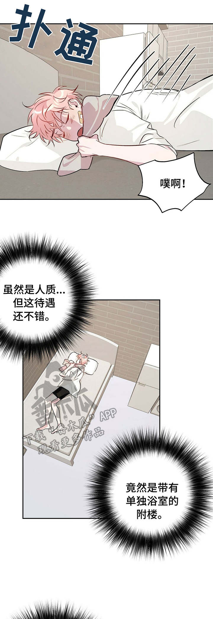 第21章：监控2