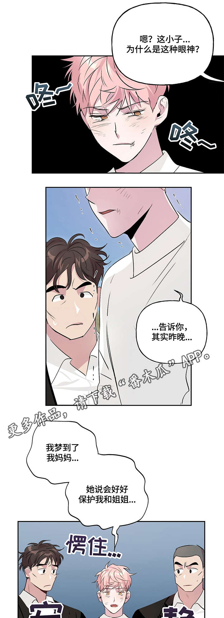 第13章：调查6