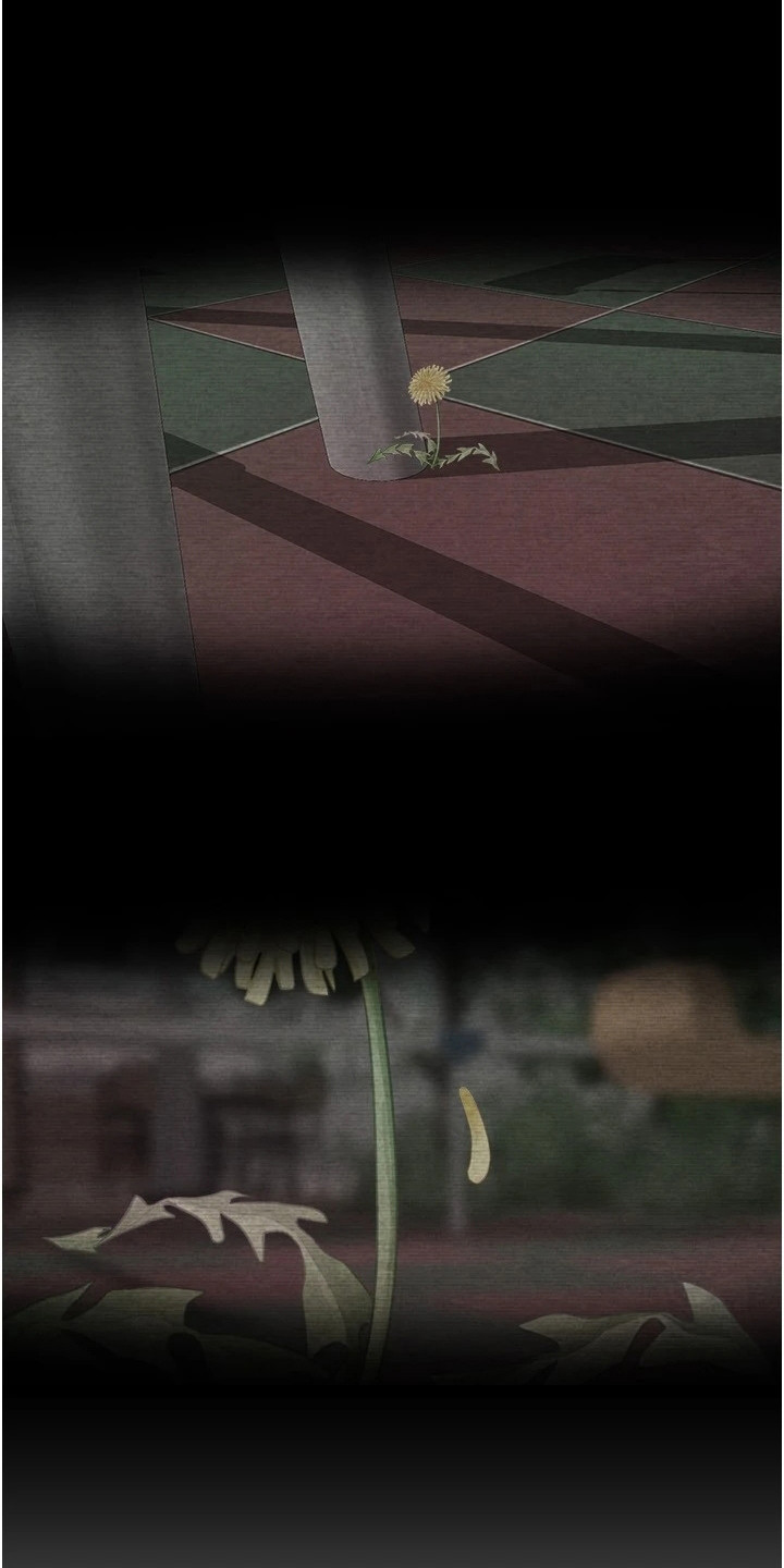 第1章：失败人生12