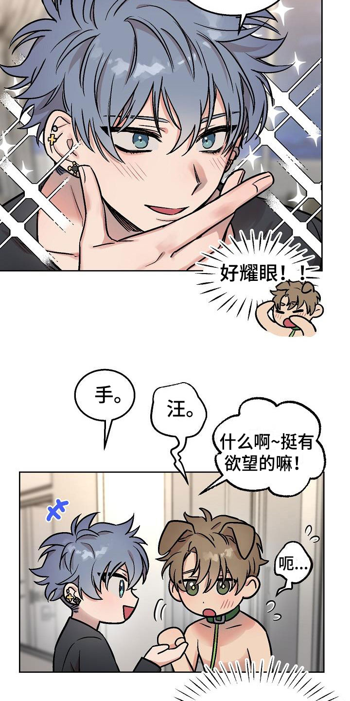 第48章：惊喜15