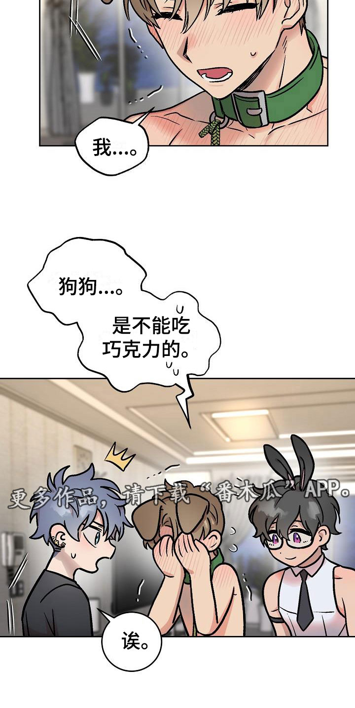 第48章：惊喜23