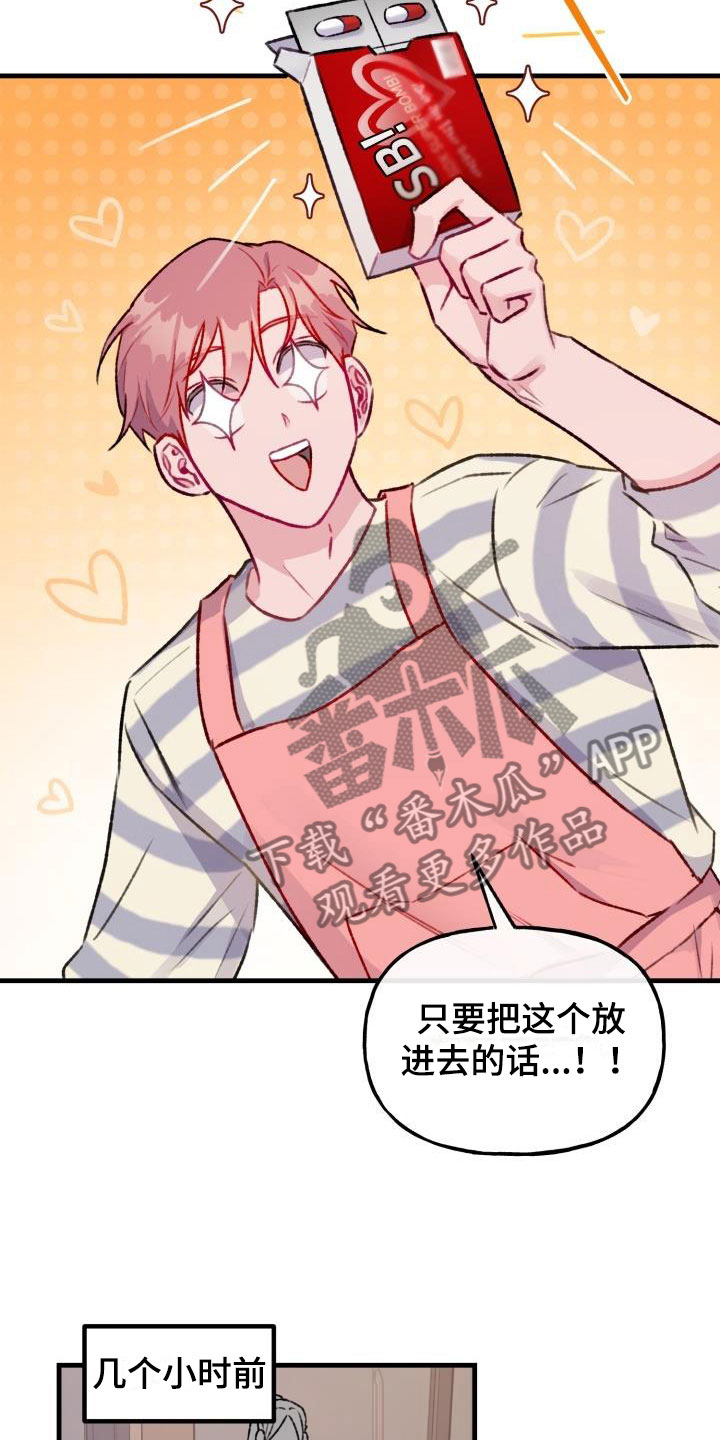 第26章：危险捕捉：秘药巧克力2