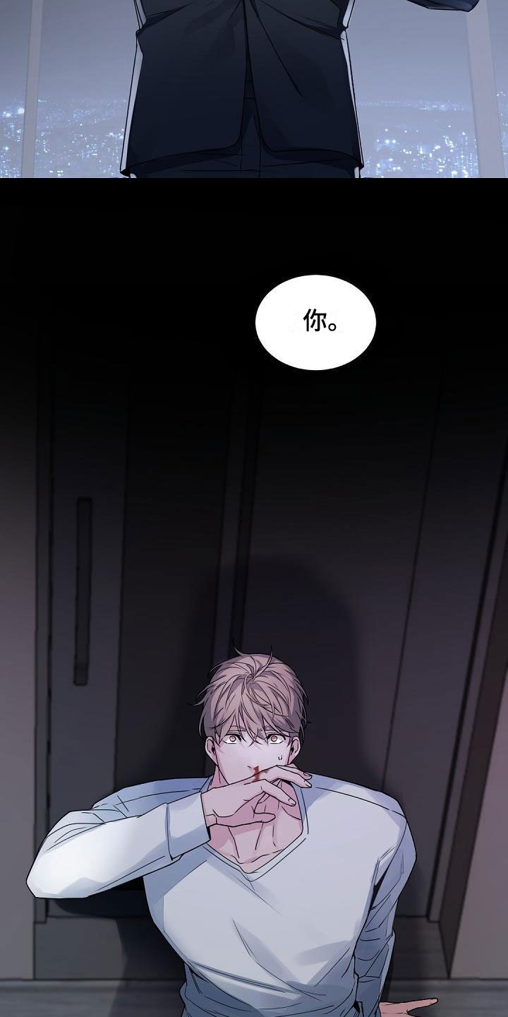 第1章：老板的宝贝：完美情人节5