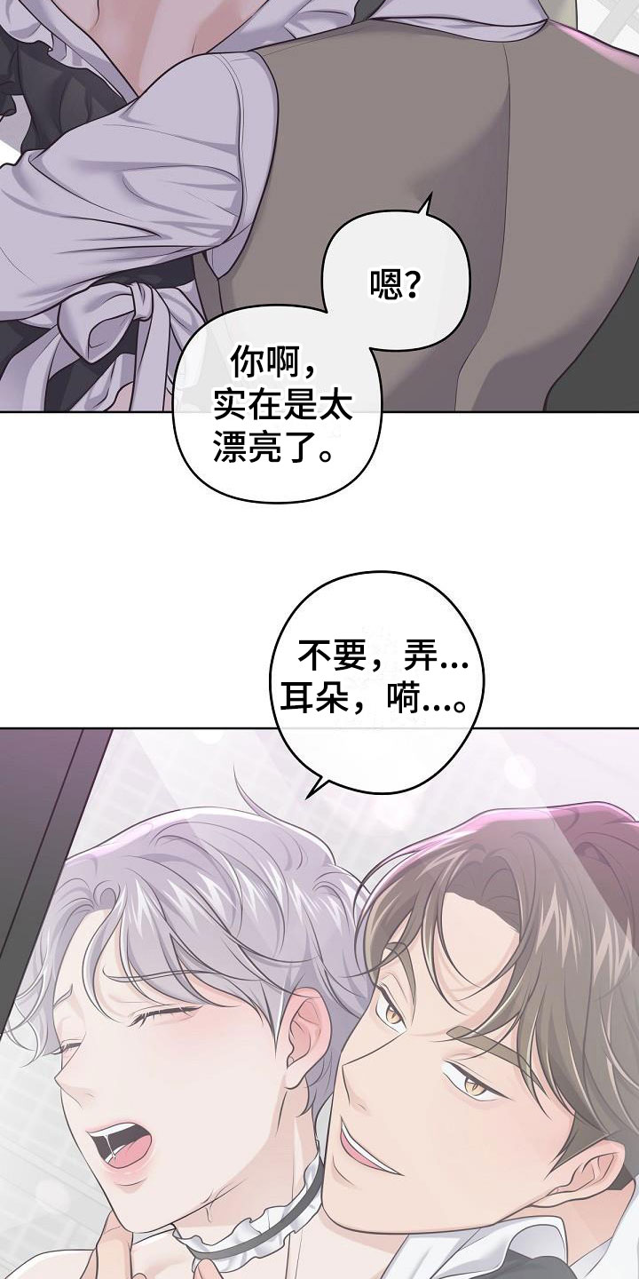 第15章：阿尔法管家：香水29