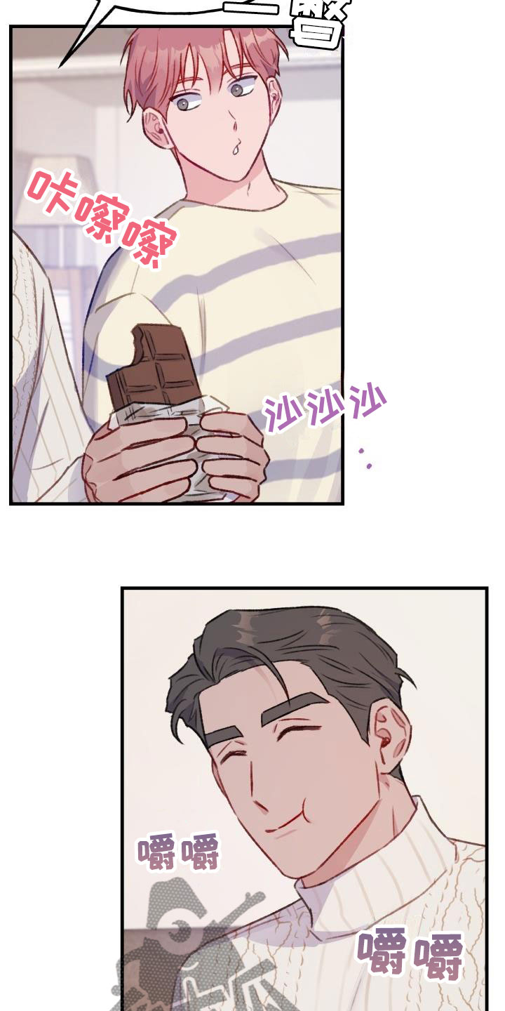 第26章：危险捕捉：秘药巧克力16