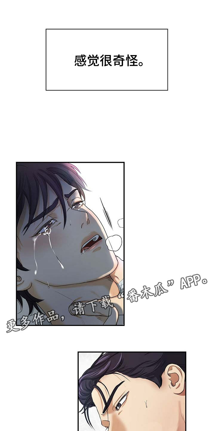 第17章：奇怪16