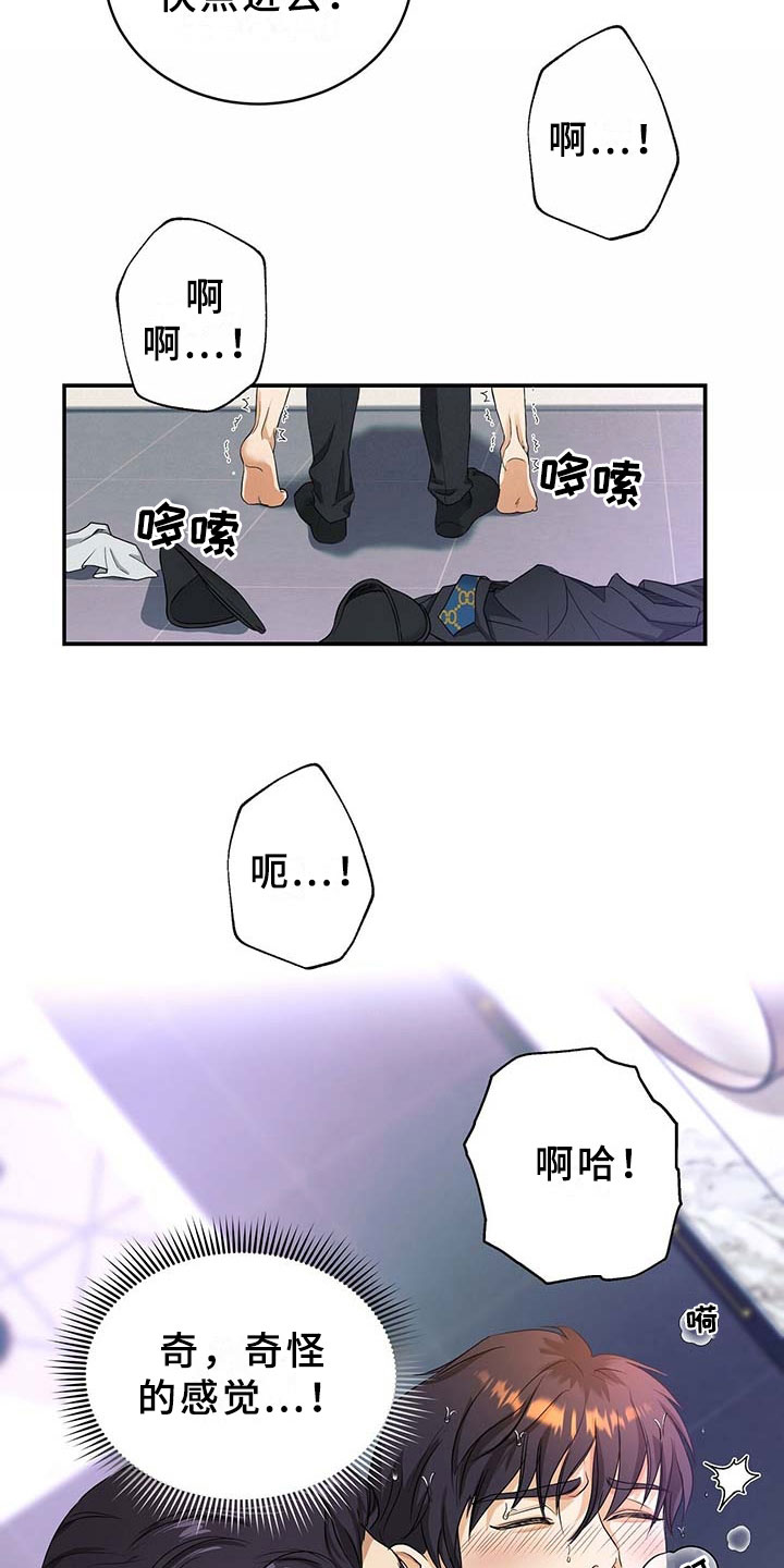 第4章：突变12