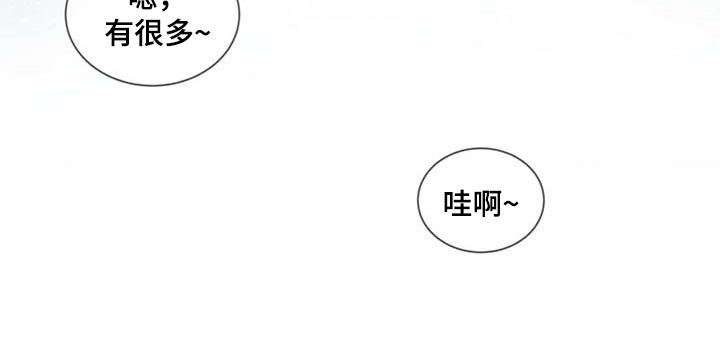 第21章：粉丝18