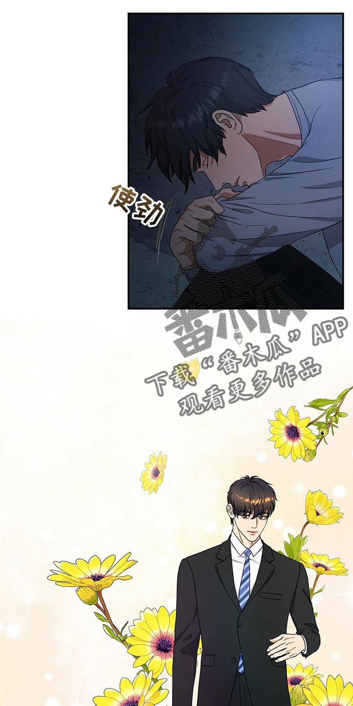 第47章：缓解6