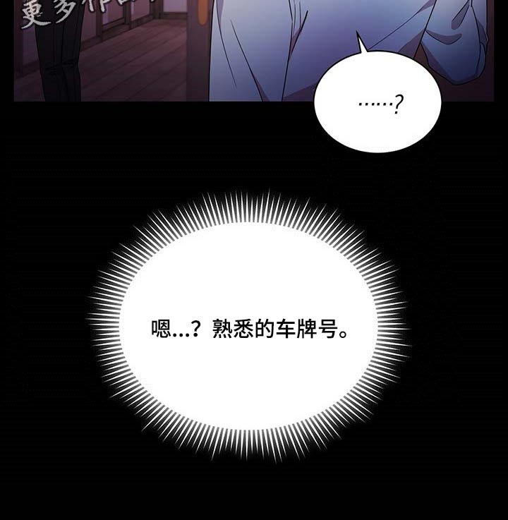 第50章：熟悉的车牌号29
