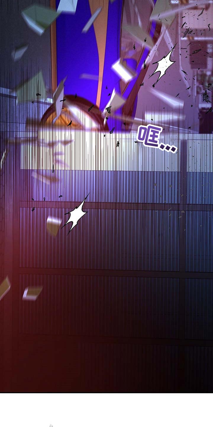 第50章：熟悉的车牌号17