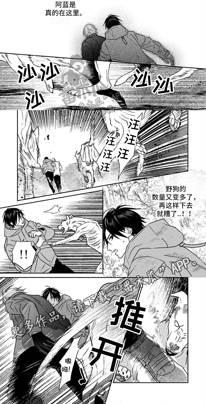 第38章：疑点4