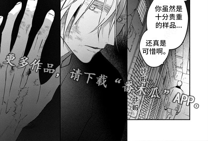 第42章：求救5