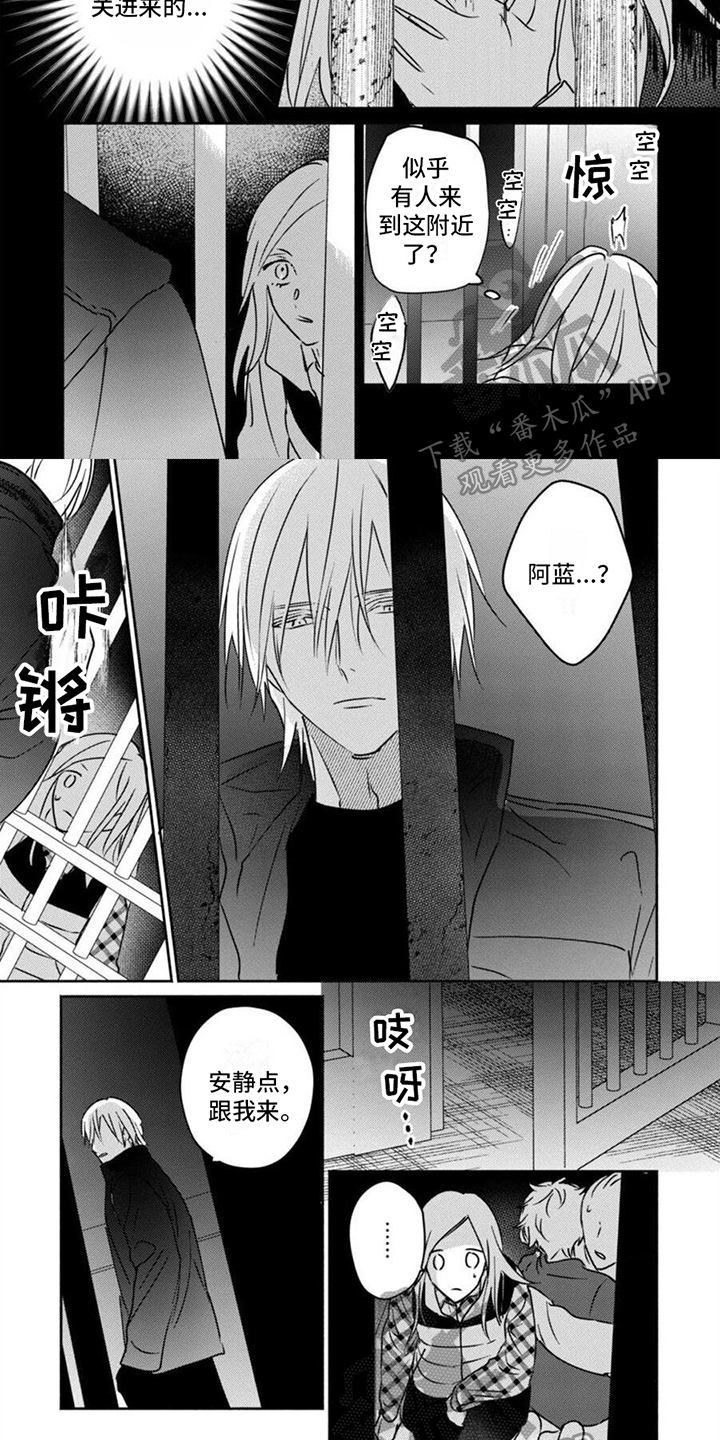 第41章：救人3