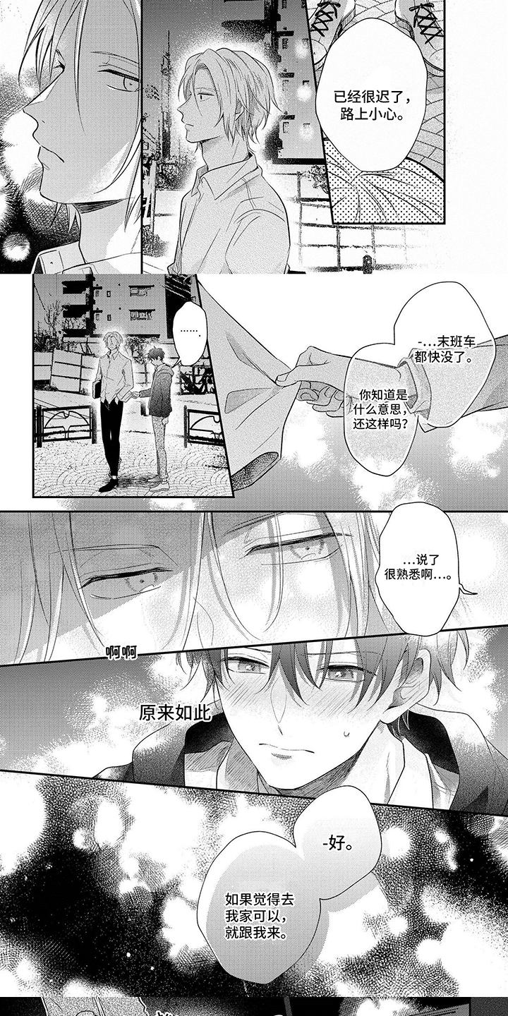 第2章：带回家4