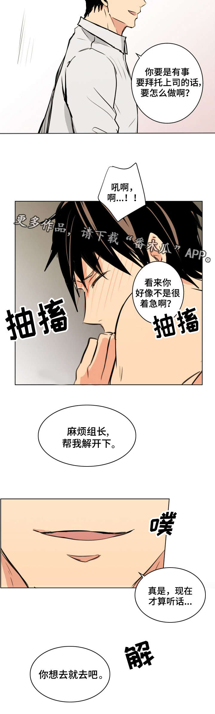 第28章：宠物8