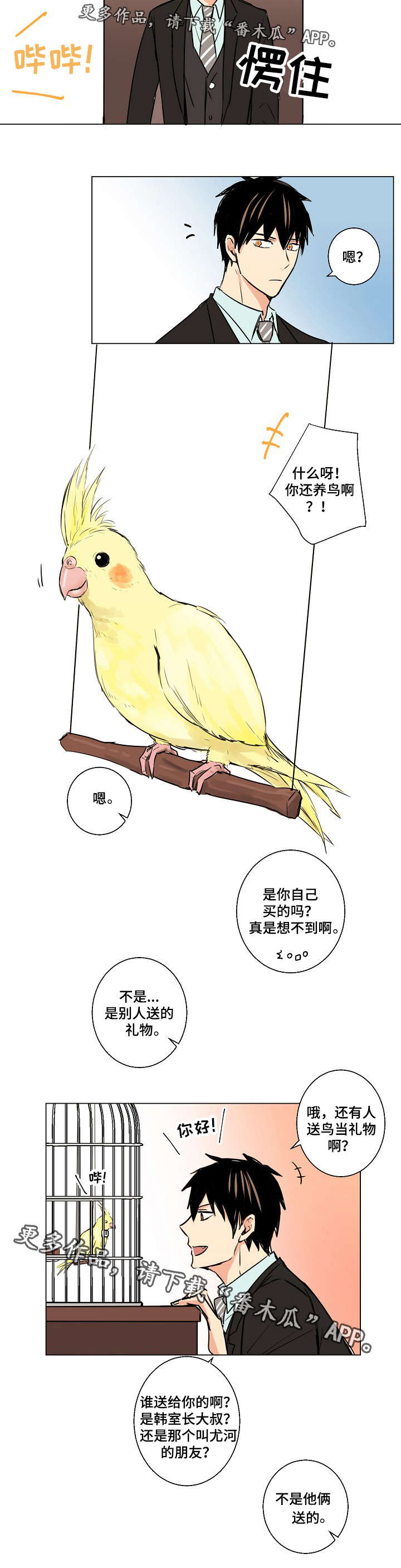 第16章：礼物11