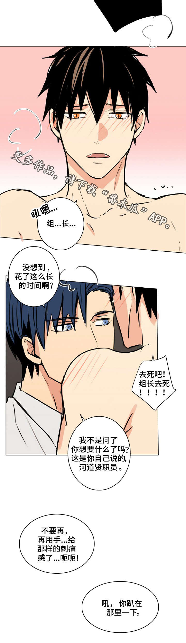 第28章：宠物1