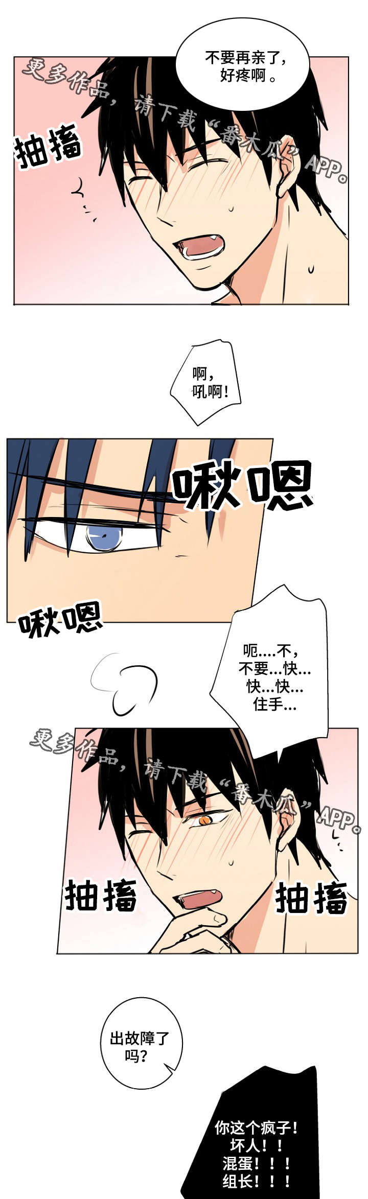 第28章：宠物0