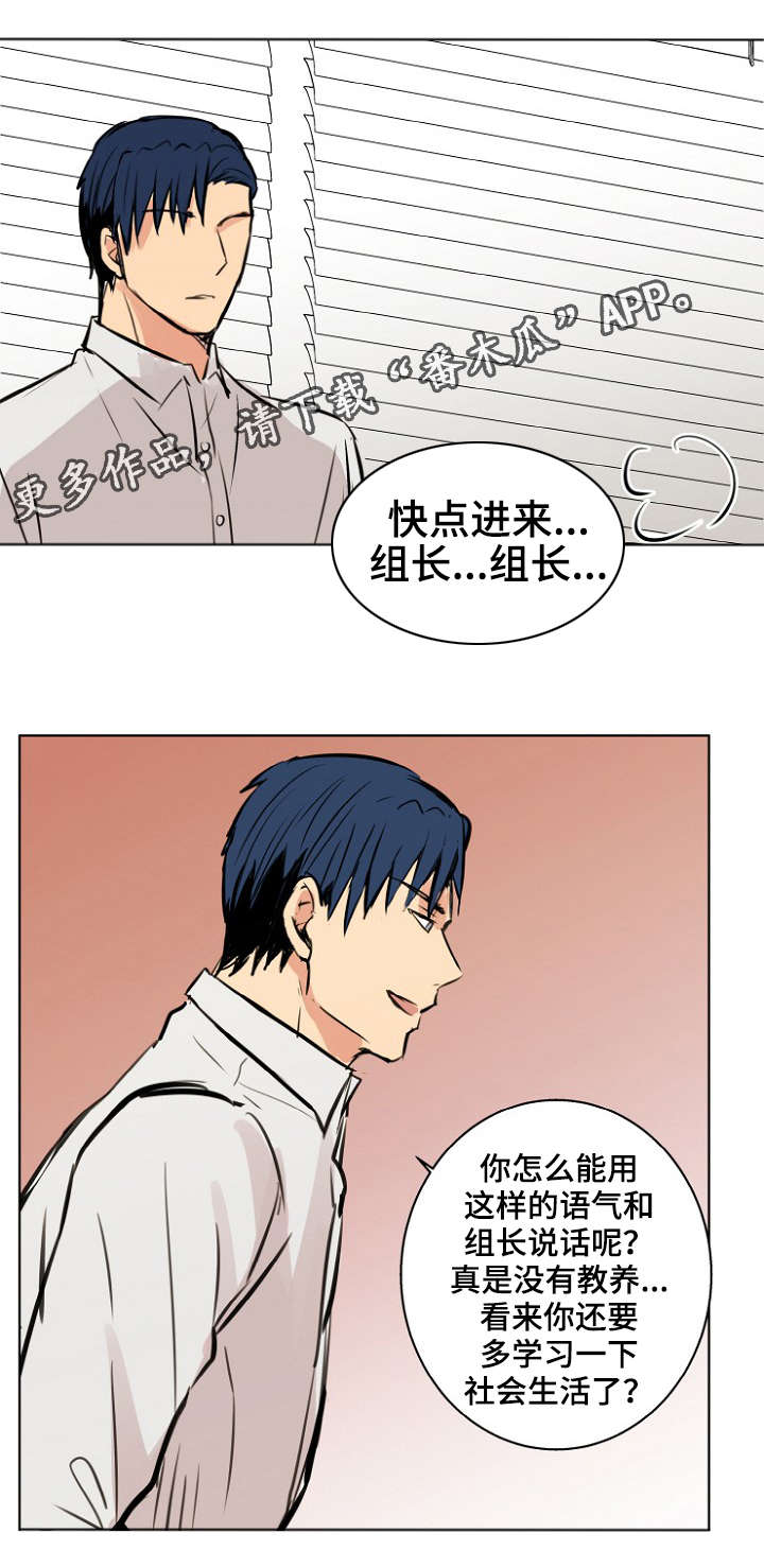 第28章：宠物2