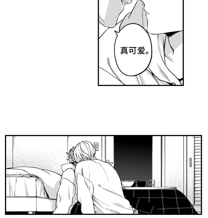 第13章：说不出口14