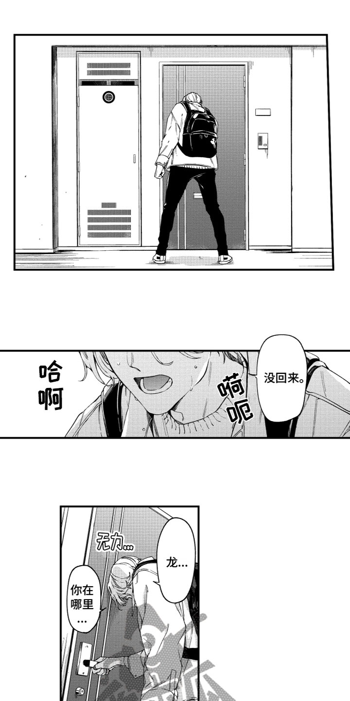 第20章：寻找2