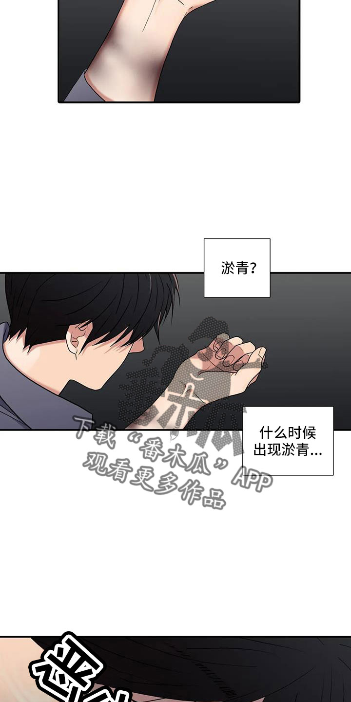 第177章： 【番外】不会饶恕12