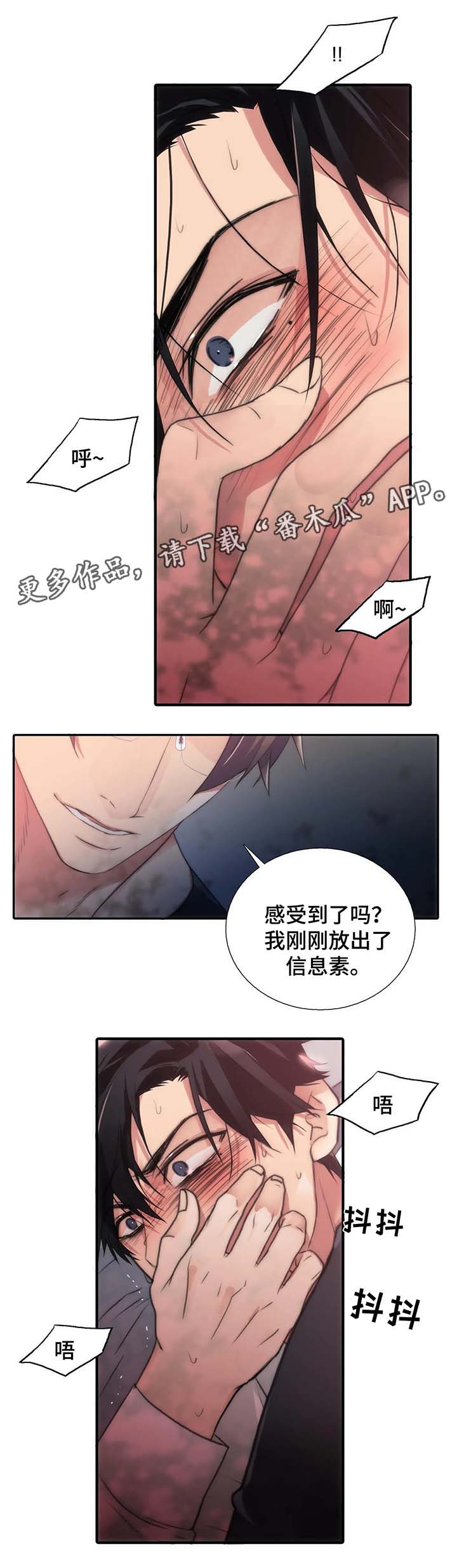 第71章：好好体验3