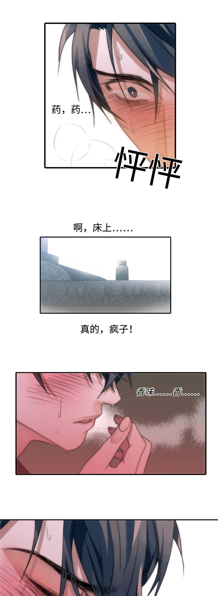 第4章：发作11