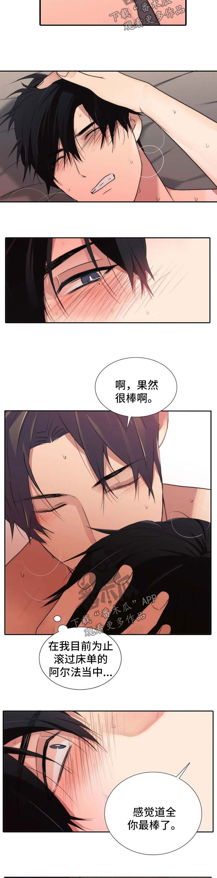 第116章：番外：你最棒了7