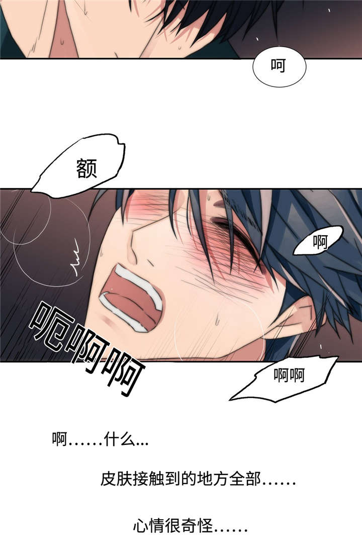 第13章：变得自在7