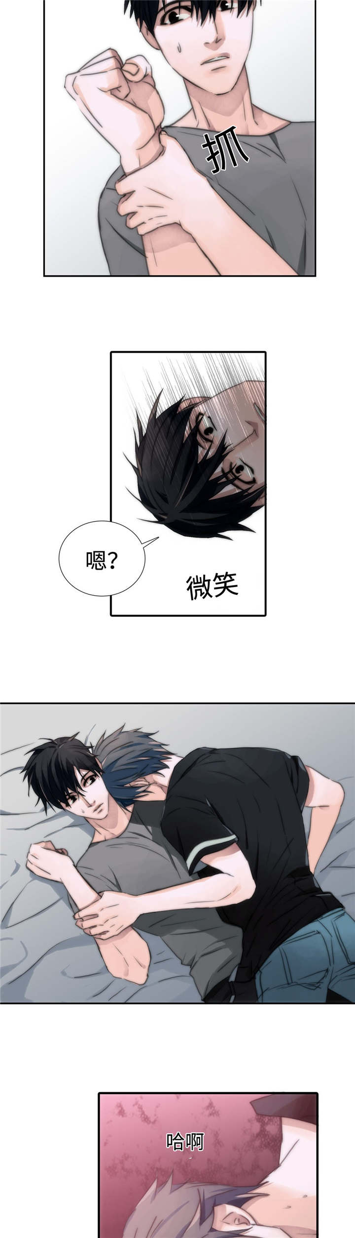 第6章：信息素11
