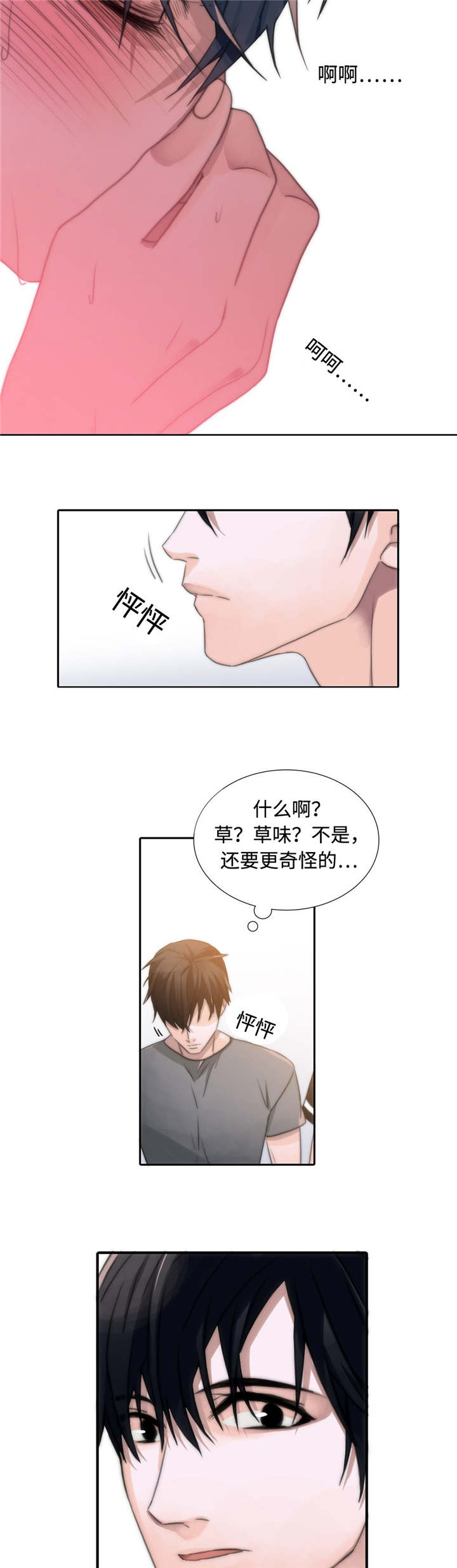 第4章：发作12